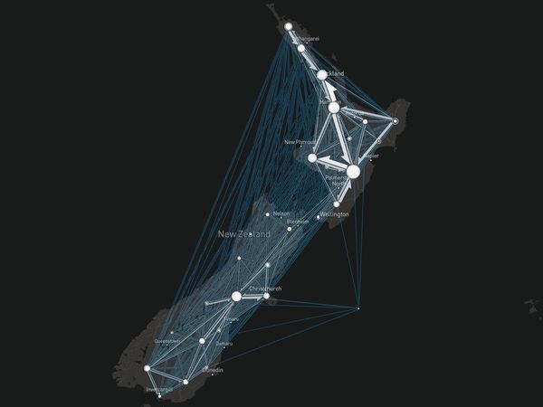 Cattle livestock movements in NZ