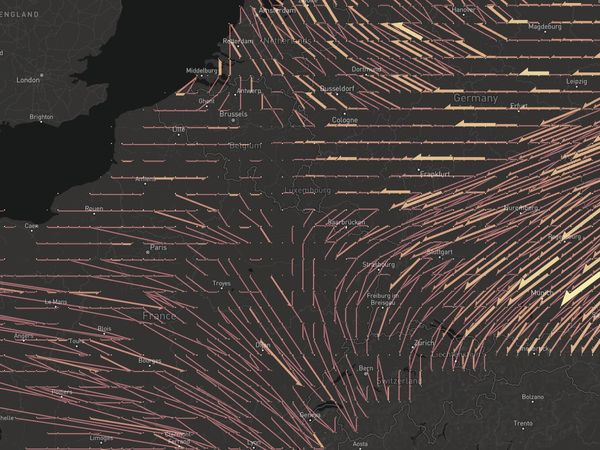 Bird migration model